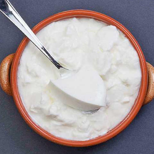 Ayurveda Health Benefits of Curd / Dahi /Yogurt