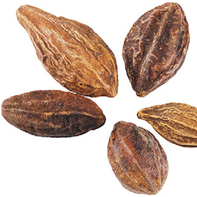 Ayurveda Health Benefits and Medicinal Properties of Haritaki-Terminalia Chebula