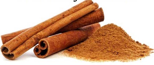 Cinnamon or Dalchini Uses and Benefits – An Ayurveda View