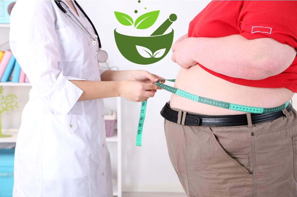 6 Important Ayurvedic Treatments for Obesity or Weight Loss