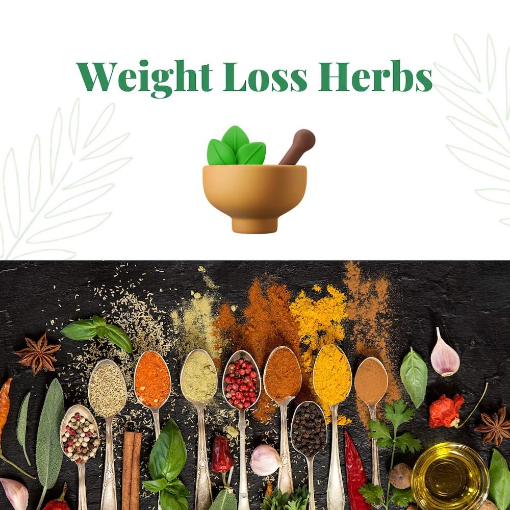 20 Best Ayurvedic Weight Loss Herbs